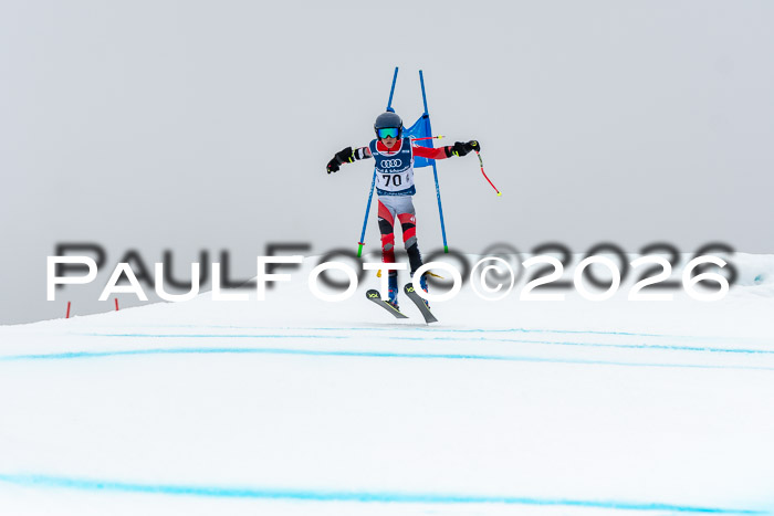 SVM  7. Stumbaum Hausfreunde Cup U12