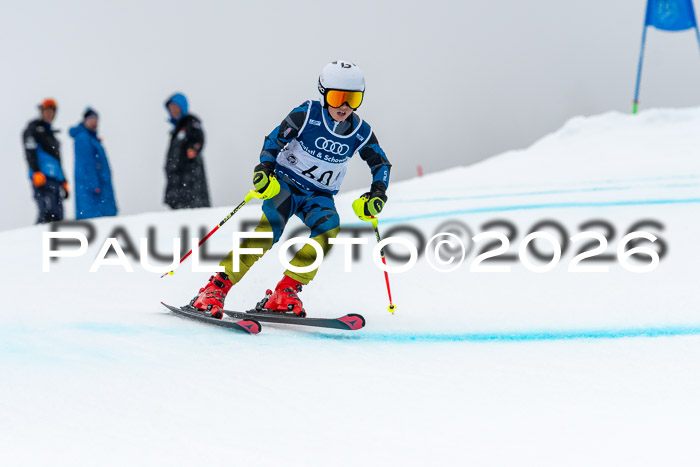 SVM  7. Stumbaum Hausfreunde Cup U12