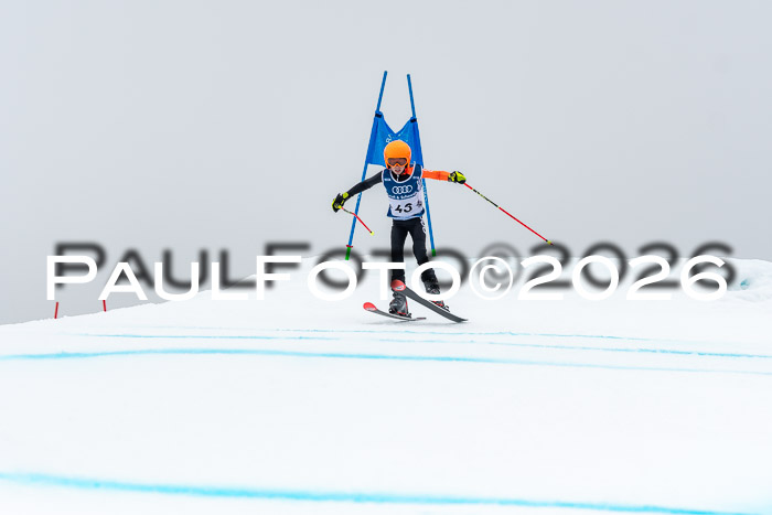 SVM  7. Stumbaum Hausfreunde Cup U12