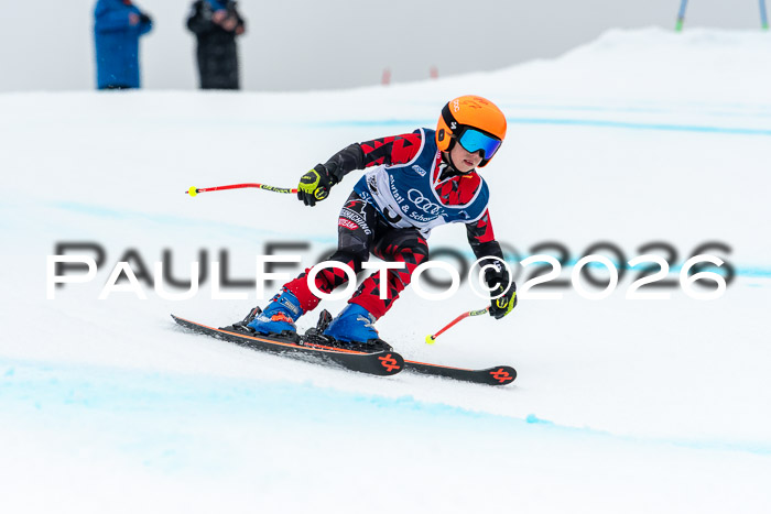 SVM  7. Stumbaum Hausfreunde Cup U12