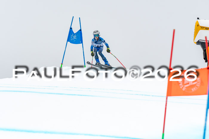 SVM  7. Stumbaum Hausfreunde Cup U12