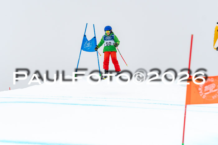 SVM  7. Stumbaum Hausfreunde Cup U12