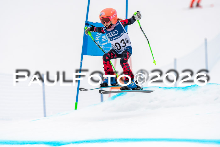 SVM U8/10 Sport Gürteler Cup 01.03.2026