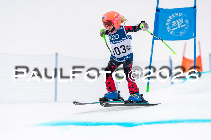 SVM U8/10 Sport Gürteler Cup 01.03.2026