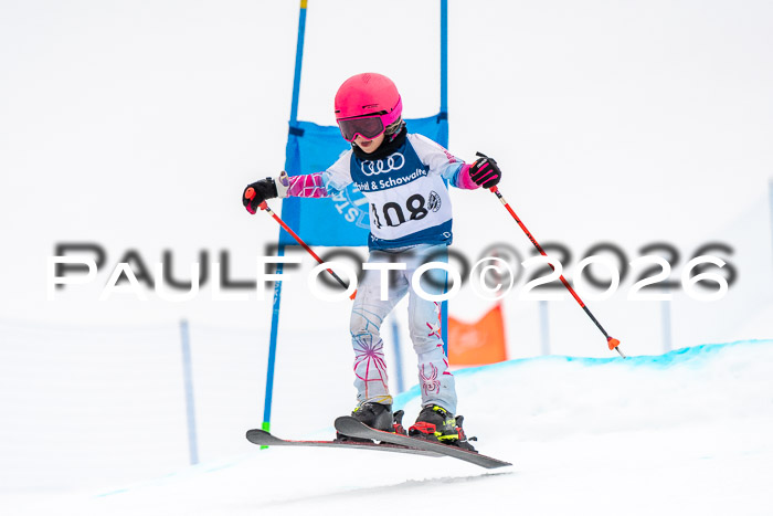 SVM U8/10 Sport Gürteler Cup 01.03.2026