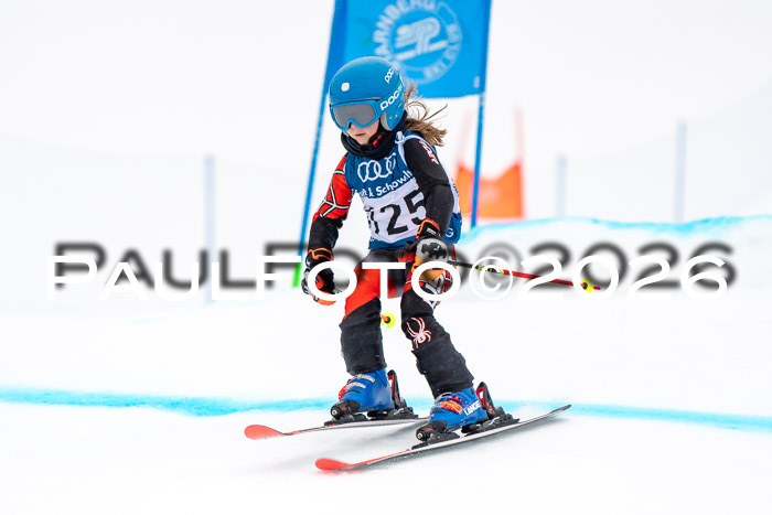 SVM U8/10 Sport Gürteler Cup 01.03.2026