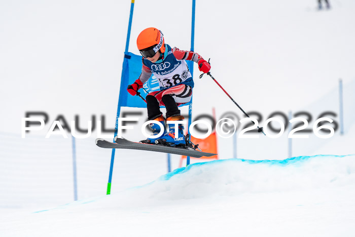 SVM U8/10 Sport Gürteler Cup 01.03.2026