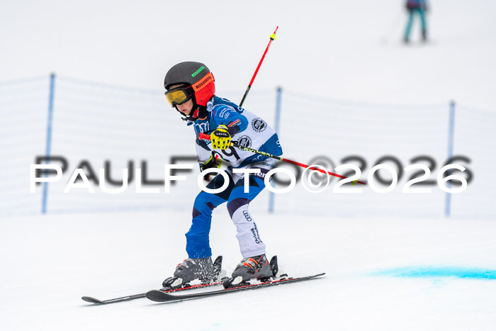 SVM U8/10 Sport Gürteler Cup 01.03.2026