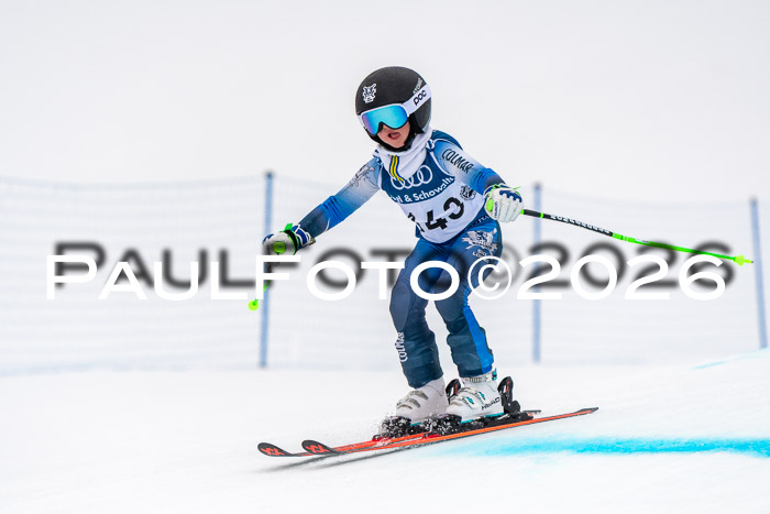 SVM U8/10 Sport Gürteler Cup 01.03.2026