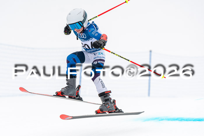SVM U8/10 Sport Gürteler Cup 01.03.2026