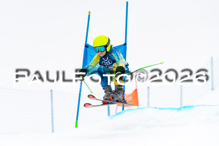 SVM U8/10 Sport Gürteler Cup 01.03.2026