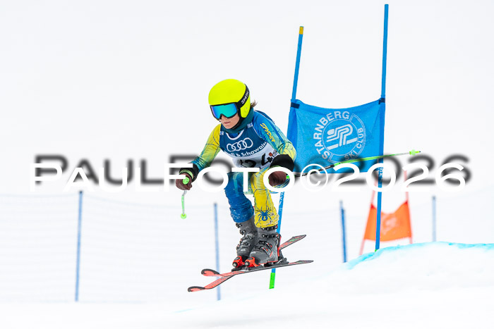 SVM U8/10 Sport Gürteler Cup 01.03.2026