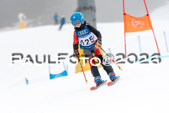 SVM U8/10 Sport Gürteler Cup 01.03.2026