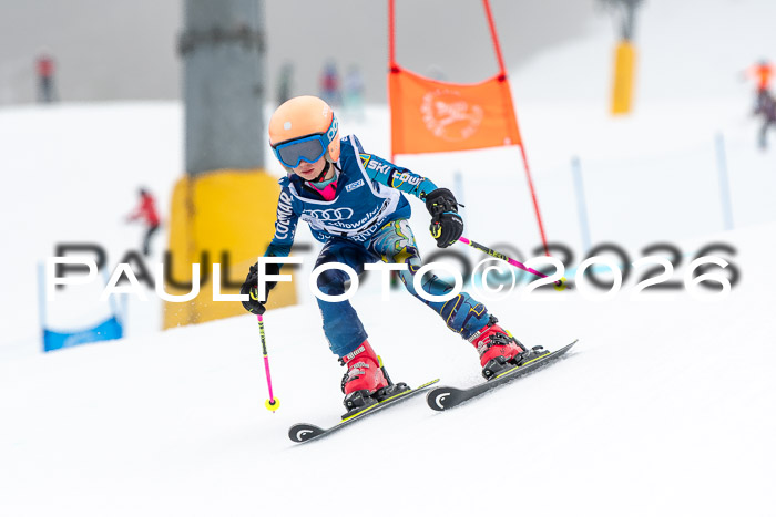 SVM U8/10 Sport Gürteler Cup 01.03.2026