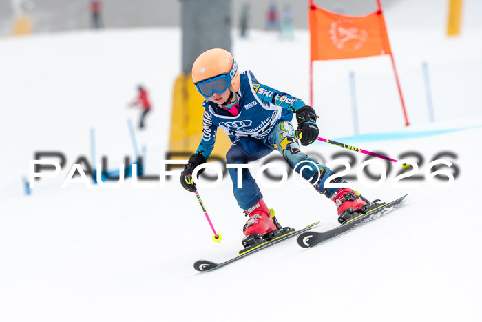 SVM U8/10 Sport Gürteler Cup 01.03.2026