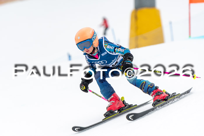 SVM U8/10 Sport Gürteler Cup 01.03.2026