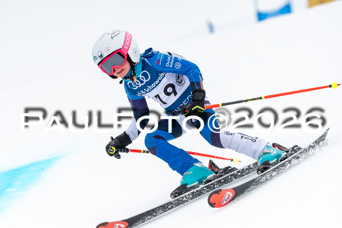 SVM U8/10 Sport Gürteler Cup 01.03.2026