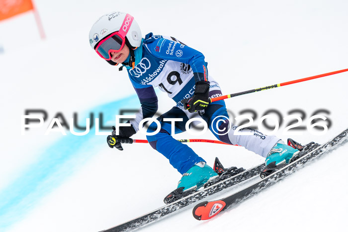 SVM U8/10 Sport Gürteler Cup 01.03.2026