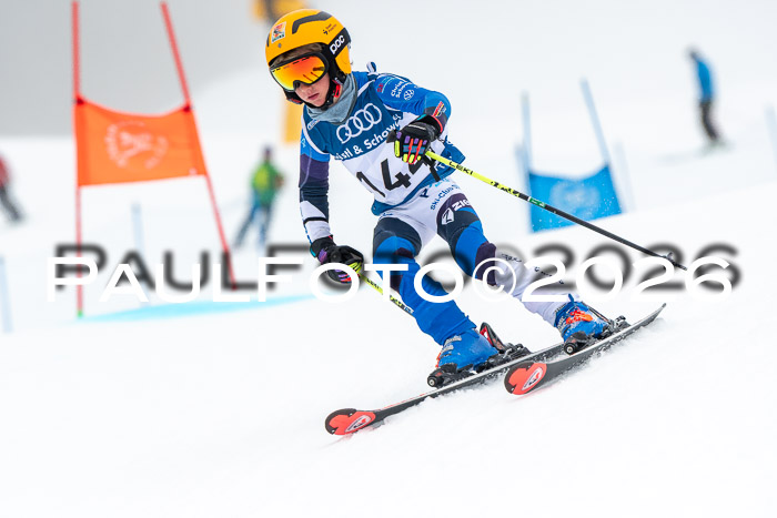 SVM U8/10 Sport Gürteler Cup 01.03.2026