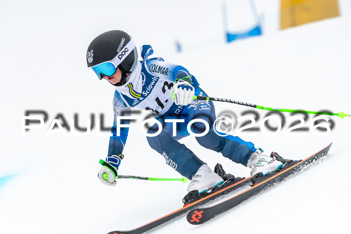 SVM U8/10 Sport Gürteler Cup 01.03.2026
