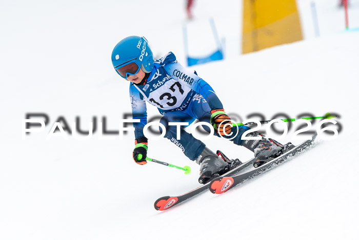 SVM U8/10 Sport Gürteler Cup 01.03.2026