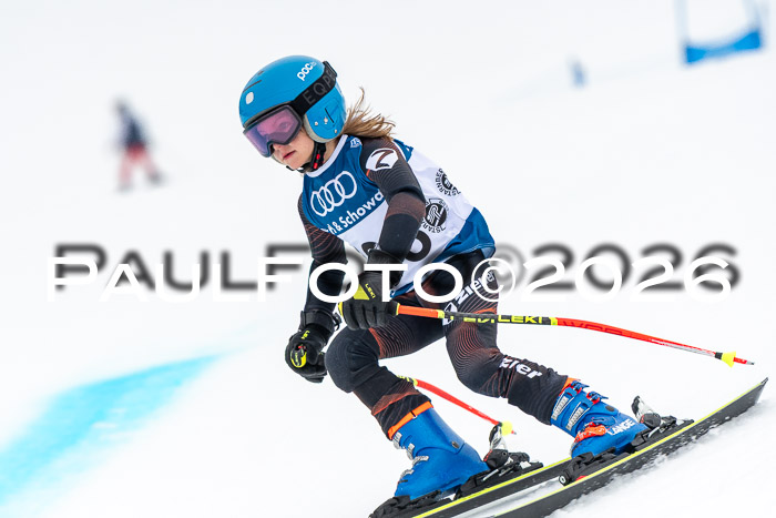 SVM U8/10 Sport Gürteler Cup 01.03.2026