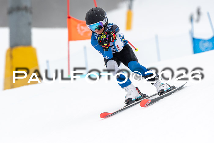 SVM U8/10 Sport Gürteler Cup 01.03.2026