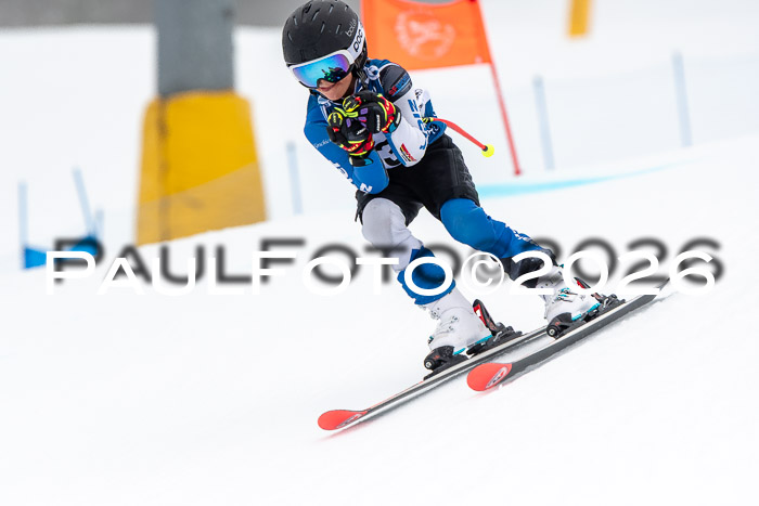 SVM U8/10 Sport Gürteler Cup 01.03.2026
