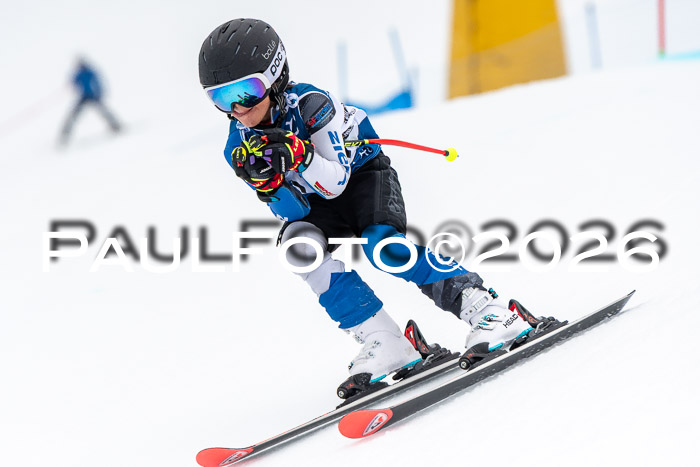 SVM U8/10 Sport Gürteler Cup 01.03.2026