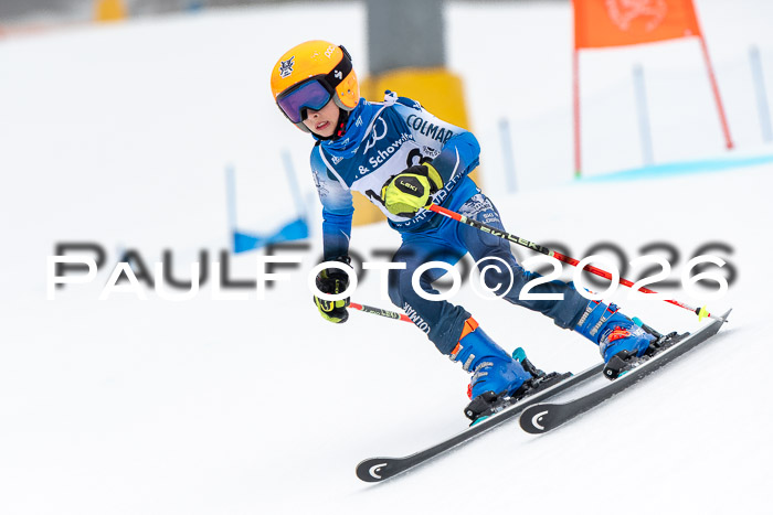 SVM U8/10 Sport Gürteler Cup 01.03.2026