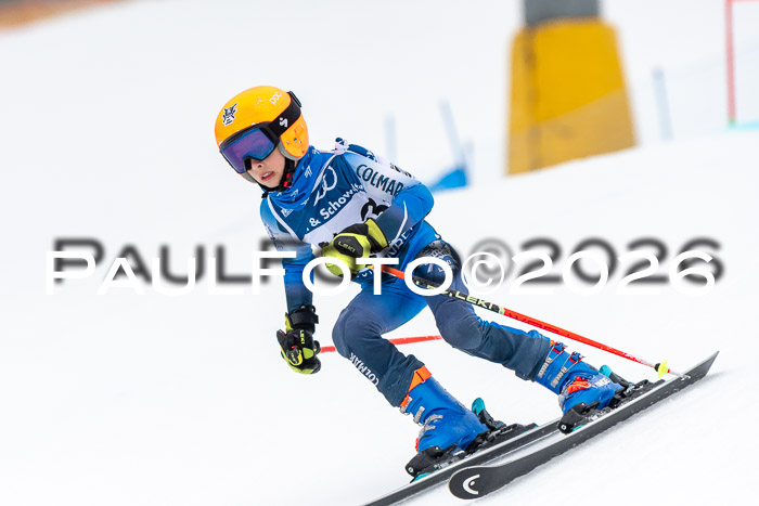 SVM U8/10 Sport Gürteler Cup 01.03.2026