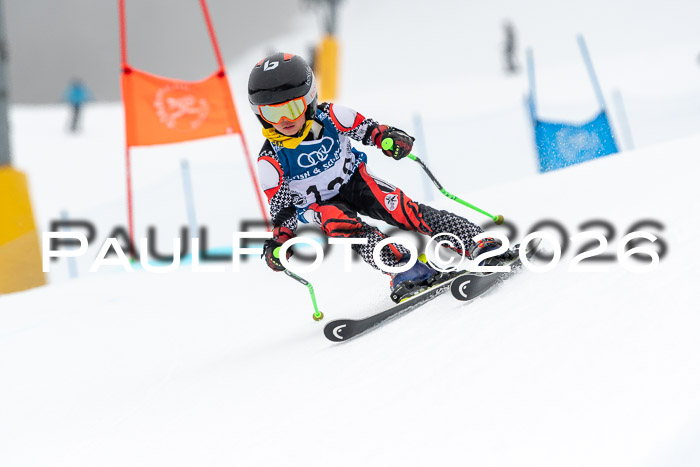 SVM U8/10 Sport Gürteler Cup 01.03.2026