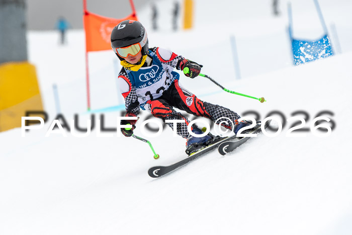 SVM U8/10 Sport Gürteler Cup 01.03.2026