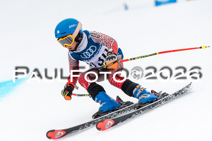 SVM U8/10 Sport Gürteler Cup 01.03.2026