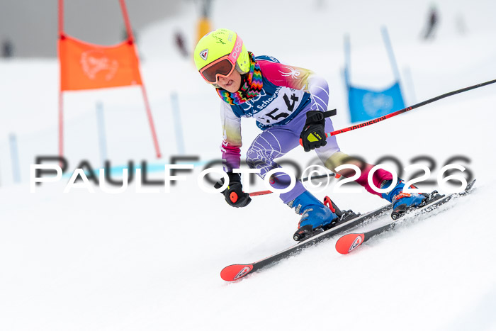 SVM U8/10 Sport Gürteler Cup 01.03.2026