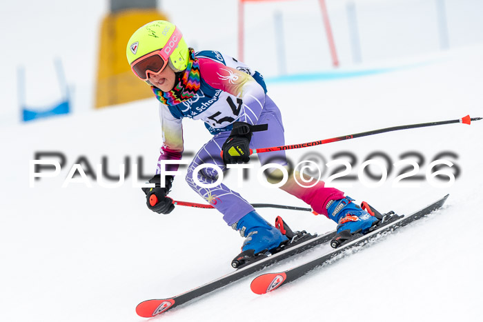 SVM U8/10 Sport Gürteler Cup 01.03.2026