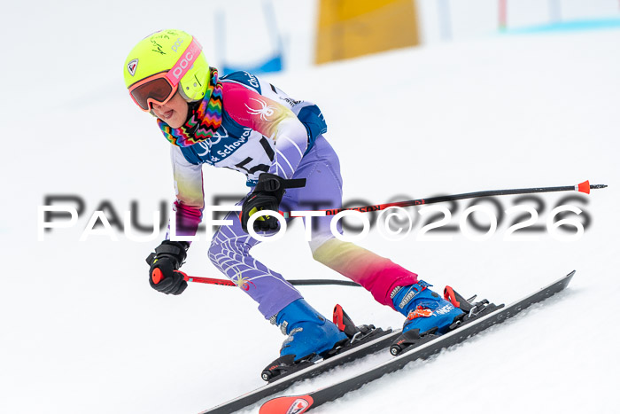 SVM U8/10 Sport Gürteler Cup 01.03.2026