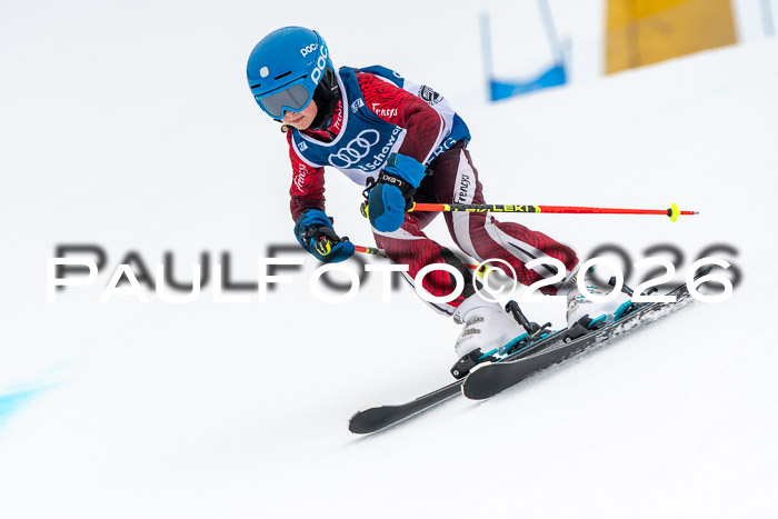 SVM U8/10 Sport Gürteler Cup 01.03.2026