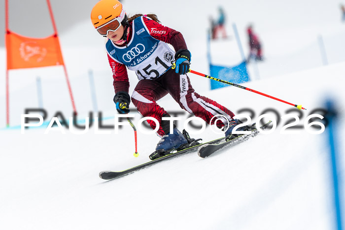 SVM U8/10 Sport Gürteler Cup 01.03.2026