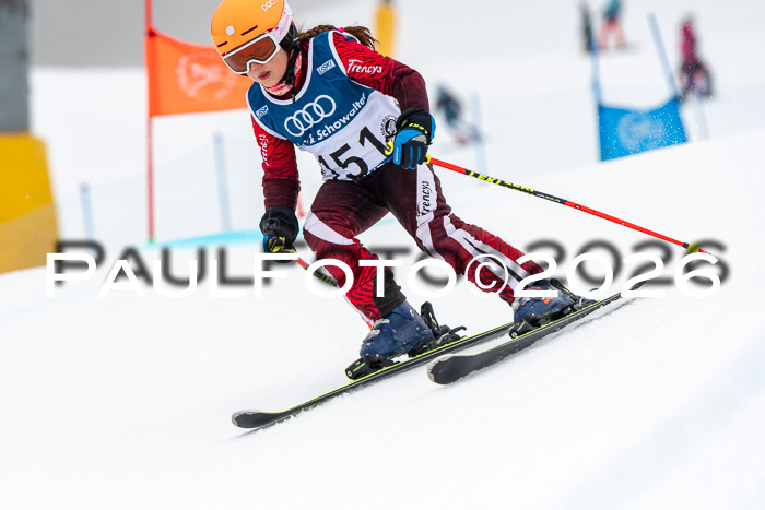 SVM U8/10 Sport Gürteler Cup 01.03.2026