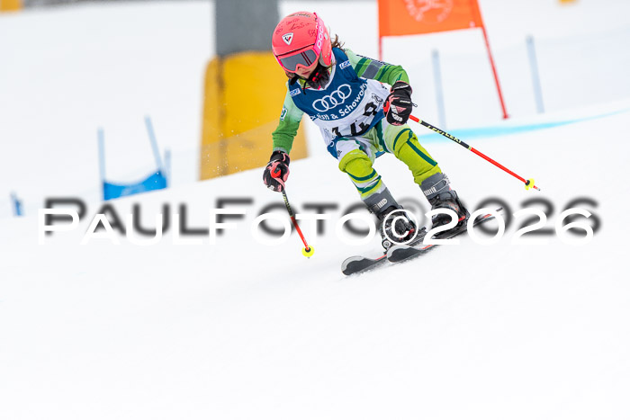 SVM U8/10 Sport Gürteler Cup 01.03.2026