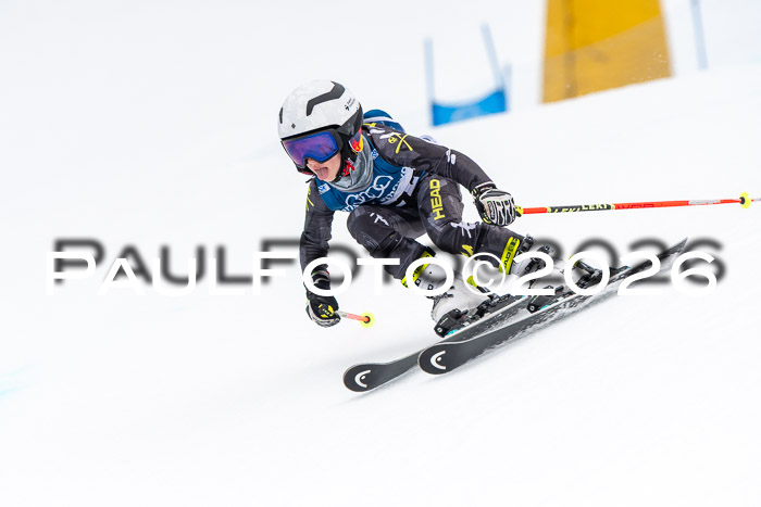 SVM U8/10 Sport Gürteler Cup 01.03.2026