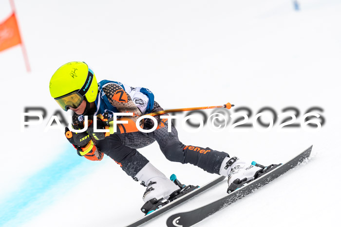 SVM U8/10 Sport Gürteler Cup 01.03.2026