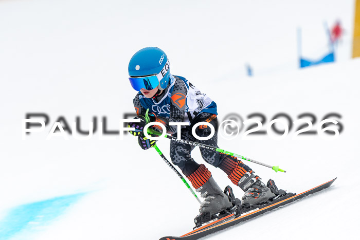 SVM U8/10 Sport Gürteler Cup 01.03.2026