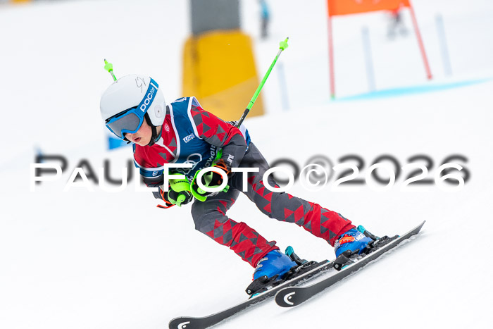 SVM U8/10 Sport Gürteler Cup 01.03.2026