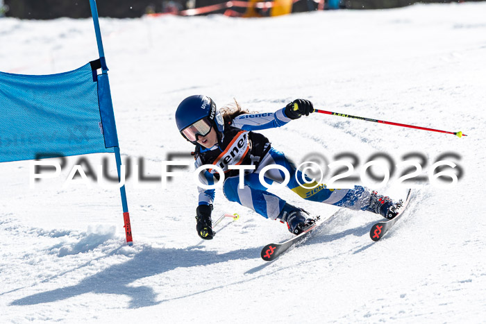 Ziener Cup 5 RS Mösern, 07.03.2026