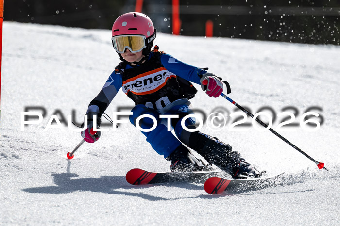 Ziener Cup 5 RS Mösern, 07.03.2026