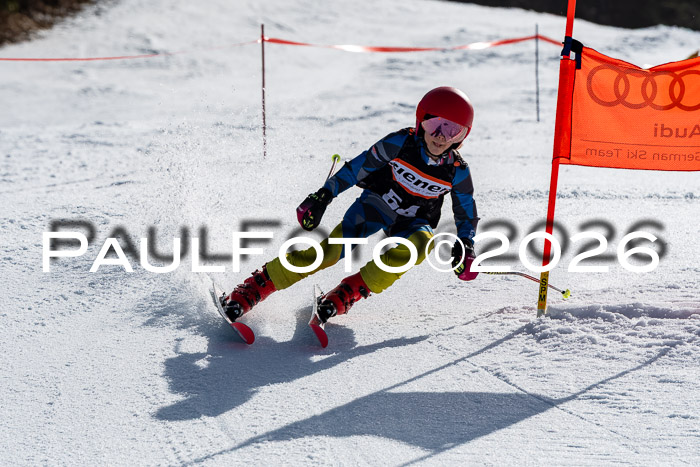 Ziener Cup 5 RS Mösern, 07.03.2026