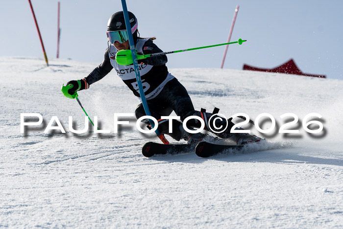 FIS Slalom  Damen + NJC FIS Herren 08.03.2026