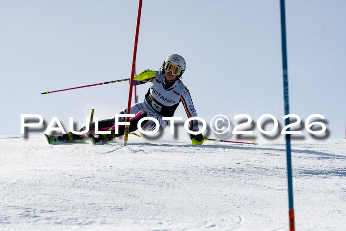 FIS Slalom  Damen + NJC FIS Herren 08.03.2026